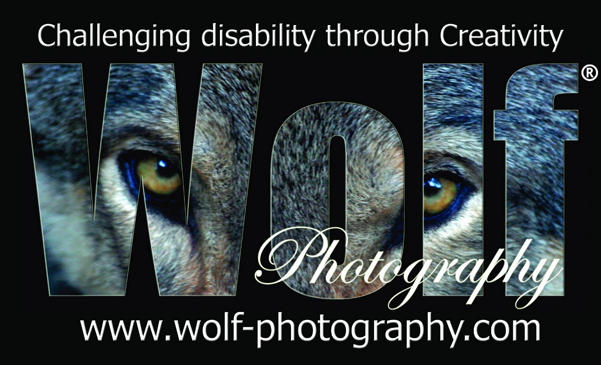 20 Wolf Photography