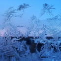 17 Copyright Heather Nichol