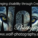 20 Wolf Photography